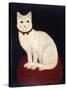 Tinkle, a Cat, 1883-American School-Stretched Canvas