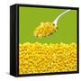 Tinned Sweetcorn on a Spoon-Stuart MacGregor-Framed Stretched Canvas