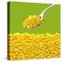 Tinned Sweetcorn on a Spoon-Stuart MacGregor-Stretched Canvas