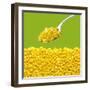 Tinned Sweetcorn on a Spoon-Stuart MacGregor-Framed Photographic Print