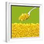 Tinned Sweetcorn on a Spoon-Stuart MacGregor-Framed Photographic Print