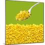 Tinned Sweetcorn on a Spoon-Stuart MacGregor-Mounted Photographic Print