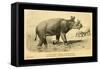 Tinoceras Ingens-Joseph Smit-Framed Stretched Canvas