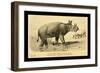 Tinoceras Ingens-Joseph Smit-Framed Art Print