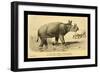 Tinoceras Ingens-Joseph Smit-Framed Art Print