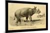 Tinoceras Ingens-Joseph Smit-Mounted Art Print