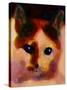 Tinsy Cat-Kenny Primmer-Stretched Canvas