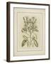 Tinted Botanical I-Samuel Curtis-Framed Art Print