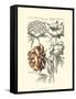 Tinted Floral I-Besler Basilius-Framed Stretched Canvas