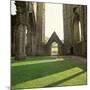 Tintern Abbey, founded in 1131-null-Mounted Photographic Print