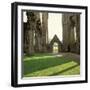 Tintern Abbey, founded in 1131-null-Framed Photographic Print