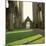 Tintern Abbey, founded in 1131-null-Mounted Photographic Print