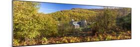 Tintern Abbey, Monmouthshire, Wales, United Kingdom, Europe-Billy Stock-Mounted Photographic Print