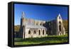 Tintern Abbey, Wye Valley, Monmouthshire, Wales, United Kingdom, Europe-Billy Stock-Framed Stretched Canvas