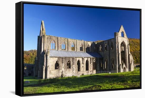 Tintern Abbey, Wye Valley, Monmouthshire, Wales, United Kingdom, Europe-Billy Stock-Framed Stretched Canvas