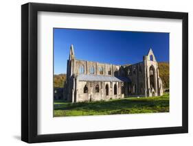 Tintern Abbey, Wye Valley, Monmouthshire, Wales, United Kingdom, Europe-Billy Stock-Framed Photographic Print