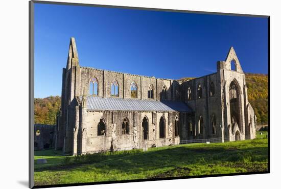 Tintern Abbey, Wye Valley, Monmouthshire, Wales, United Kingdom, Europe-Billy Stock-Mounted Photographic Print