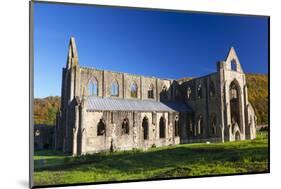 Tintern Abbey, Wye Valley, Monmouthshire, Wales, United Kingdom, Europe-Billy Stock-Mounted Photographic Print