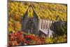 Tintern Abbey, Wye Valley, Monmouthshire, Wales, United Kingdom, Europe-Billy Stock-Mounted Photographic Print