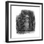 Tintern, Nave, 1850-null-Framed Giclee Print