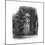 Tintern, Nave, 1850-null-Mounted Giclee Print