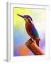 Tiny Bird-Ata Alishahi-Framed Giclee Print