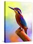 Tiny Bird-Ata Alishahi-Stretched Canvas