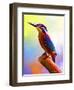 Tiny Bird-Ata Alishahi-Framed Giclee Print