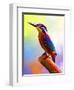 Tiny Bird-Ata Alishahi-Framed Giclee Print