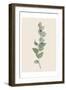 Tiny Branch-Urban Epiphany-Framed Art Print