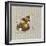 Tiny Bunny-Peggy Harris-Framed Giclee Print