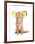 Tiny Chihuahua Dog With Funny Huge Glasses-vitalytitov-Framed Photographic Print