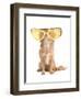 Tiny Chihuahua Dog With Funny Huge Glasses-vitalytitov-Framed Photographic Print