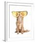 Tiny Chihuahua Dog With Funny Huge Glasses-vitalytitov-Framed Photographic Print