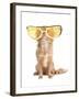 Tiny Chihuahua Dog With Funny Huge Glasses-vitalytitov-Framed Photographic Print