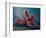 Tiny Dancer, 2011-Lee Campbell-Framed Giclee Print