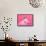 Tiny Glamour Dog With Pink Accessories Isolated-vitalytitov-Framed Stretched Canvas displayed on a wall