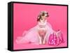 Tiny Glamour Dog With Pink Accessories Isolated-vitalytitov-Framed Stretched Canvas