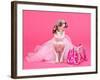 Tiny Glamour Dog With Pink Accessories Isolated-vitalytitov-Framed Photographic Print