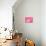 Tiny Glamour Dog With Pink Accessories Isolated-vitalytitov-Photographic Print displayed on a wall