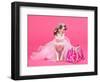 Tiny Glamour Dog With Pink Accessories Isolated-vitalytitov-Framed Photographic Print