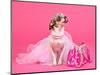 Tiny Glamour Dog With Pink Accessories Isolated-vitalytitov-Mounted Photographic Print