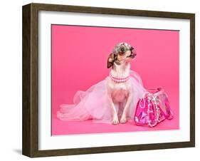 Tiny Glamour Dog With Pink Accessories Isolated-vitalytitov-Framed Photographic Print