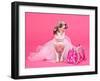 Tiny Glamour Dog With Pink Accessories Isolated-vitalytitov-Framed Photographic Print