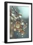 Tiny Glass Berries No 2-Treechild-Framed Giclee Print