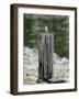 Tiny Guardian-Jai Johnson-Framed Giclee Print