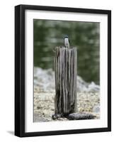 Tiny Guardian-Jai Johnson-Framed Giclee Print