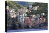 Tiny harbour and medieval houses in steep ravine, Riomaggiore, UNESCO World Heritage Site, Italy-Eleanor Scriven-Stretched Canvas