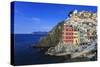 Tiny harbour and medieval houses in steep ravine, Riomaggiore, UNESCO World Heritage Site, Italy-Eleanor Scriven-Stretched Canvas