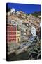 Tiny harbour and medieval houses in steep ravine, Riomaggiore, UNESCO World Heritage Site, Italy-Eleanor Scriven-Stretched Canvas